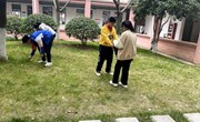 学雷锋，树新风——记娄葑学校九（8）班劳动志愿活动