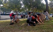 动手捡树叶，校园更美丽——记娄葑学校七（3）班劳动课活动
